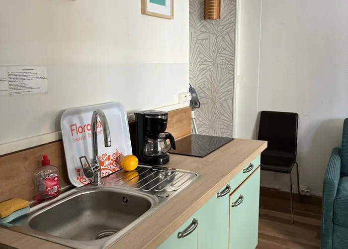 Petite Sygogne - Front De Mer&vue Château - Cosy